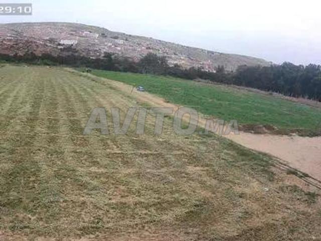 Propriété location à Agadir, Oued ed Dahab-Lagouira