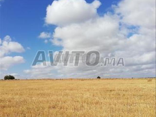 Propriété vente à El Ma, Gharb-Chrarda-Beni Hssen