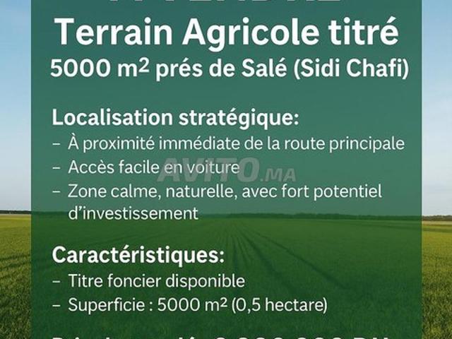 Propriété vente à Salé