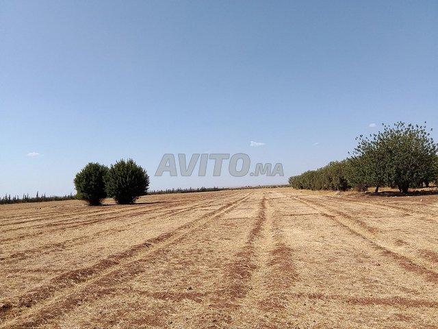 Propriété vente à Kasba Tadla