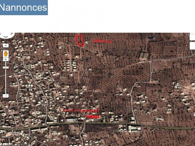 Terrain location