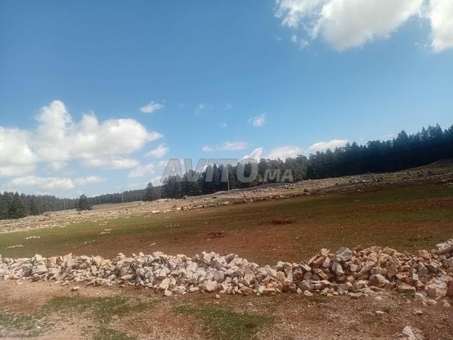 Propriété vente à Ifrane