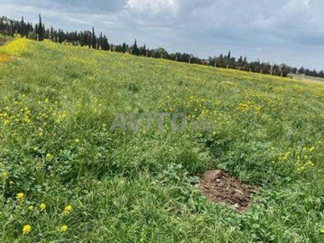 Propriété vente à Mediouna, Gharb-Chrarda-Beni Hssen