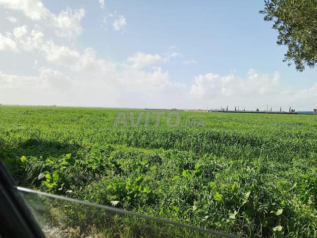 Propriété vente à Berrechid, Gharb-Chrarda-Beni Hssen