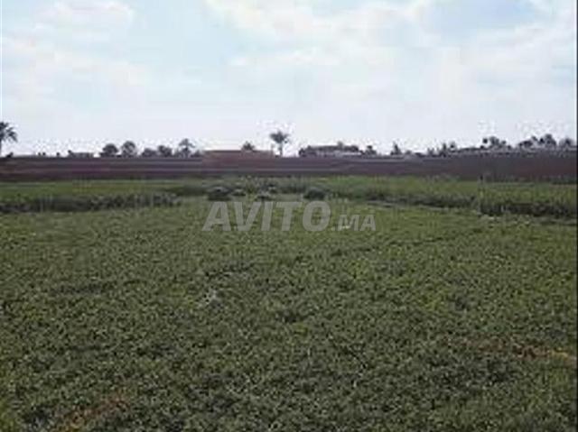 Propriété vente à Berrechid, Gharb-Chrarda-Beni Hssen