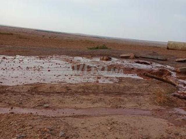 Propriété vente à Youssoufia, L'Oriental