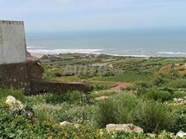 Propriété vente à Essaouira, L'Oriental