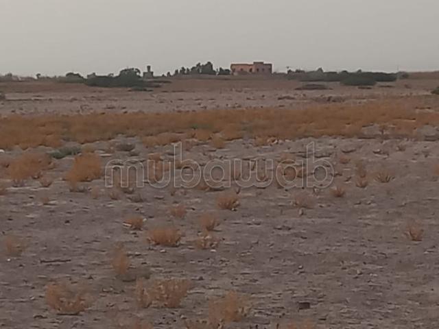 Terrain vente à Marrakech, L'Oriental