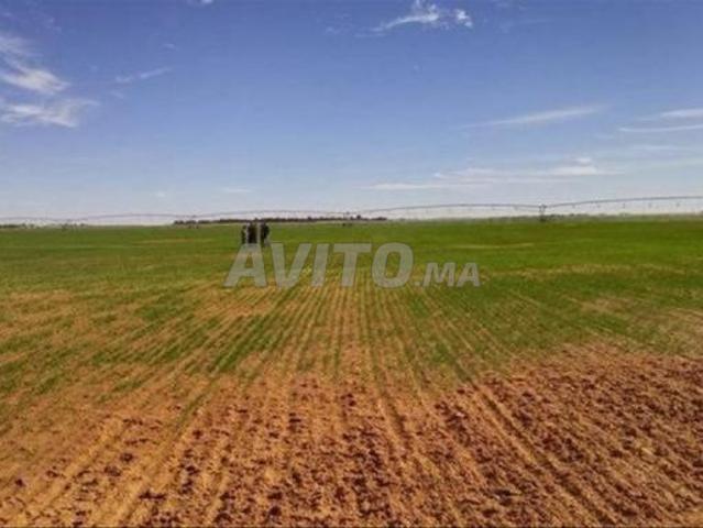 Propriété vente à Berrechid, Gharb-Chrarda-Beni Hssen