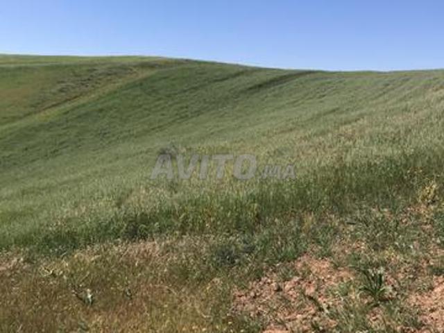 Propriété vente à Meknès