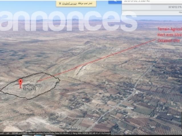 Terrain location