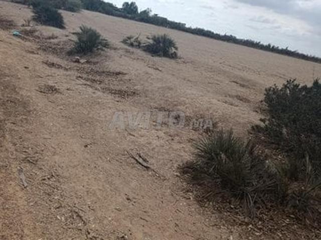 Propriété vente à Ben Slimane, Chaouia-Ouardigha