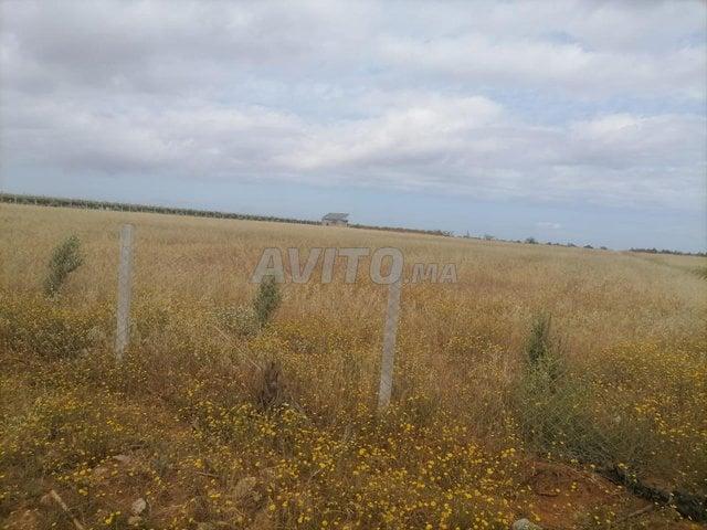 Propriété vente à Slimane, Gharb-Chrarda-Beni Hssen
