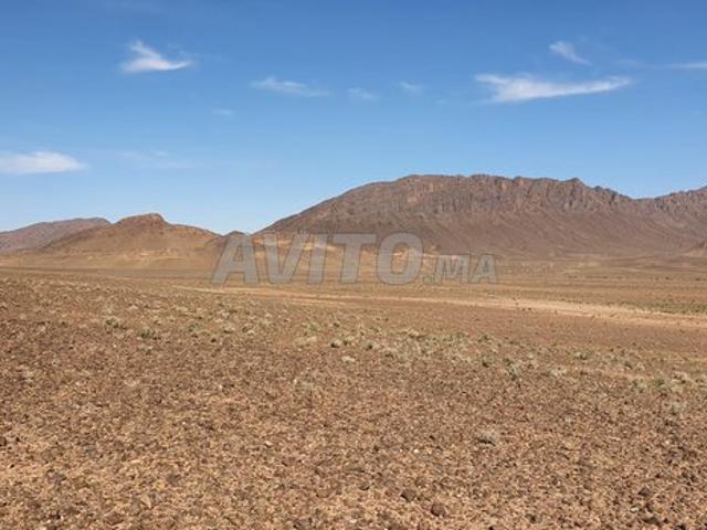 Propriété location à Boudenib