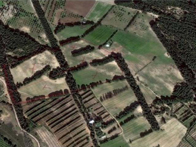 Terrain location