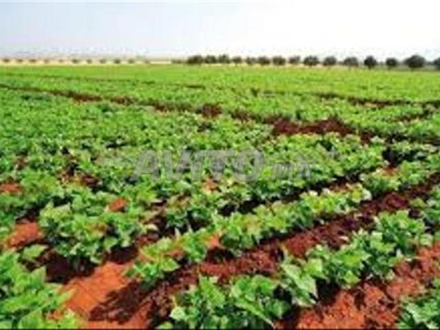 Propriété vente à Berrechid, Gharb-Chrarda-Beni Hssen