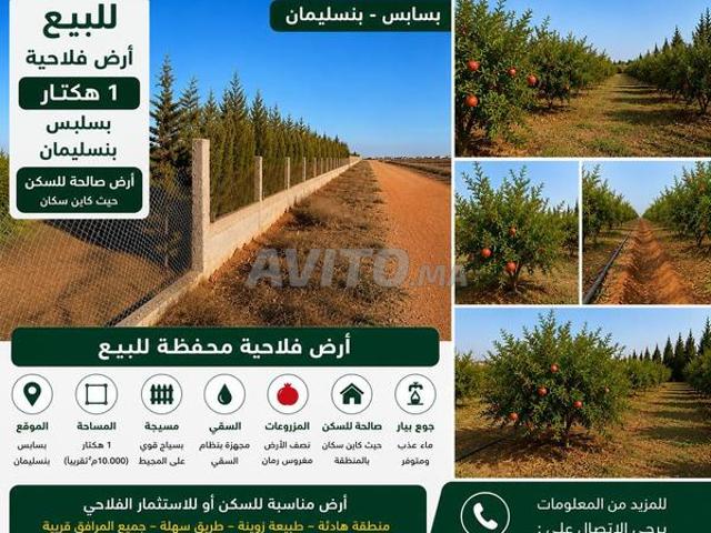 Propriété vente à Slimane, Gharb-Chrarda-Beni Hssen