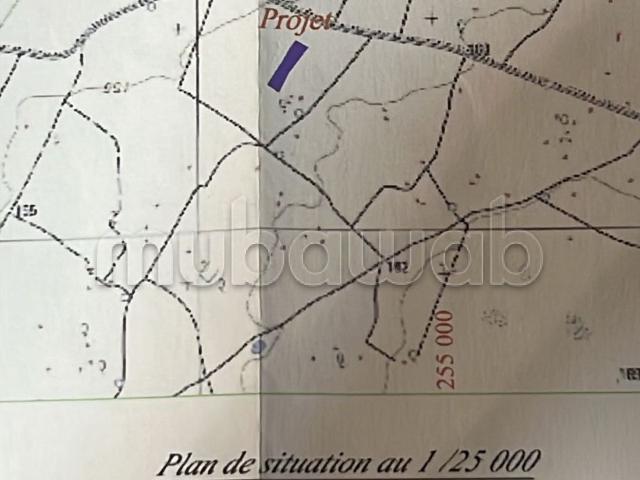 Terrain vente à El Ma, Gharb-Chrarda-Beni Hssen