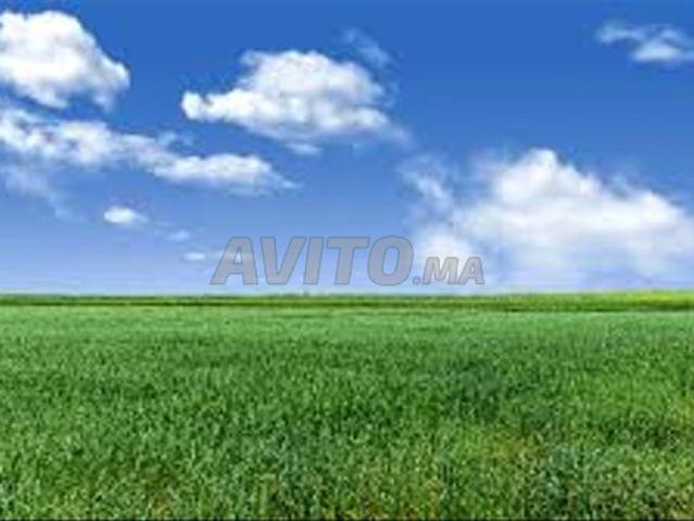 Propriété vente à Settat, Gharb-Chrarda-Beni Hssen