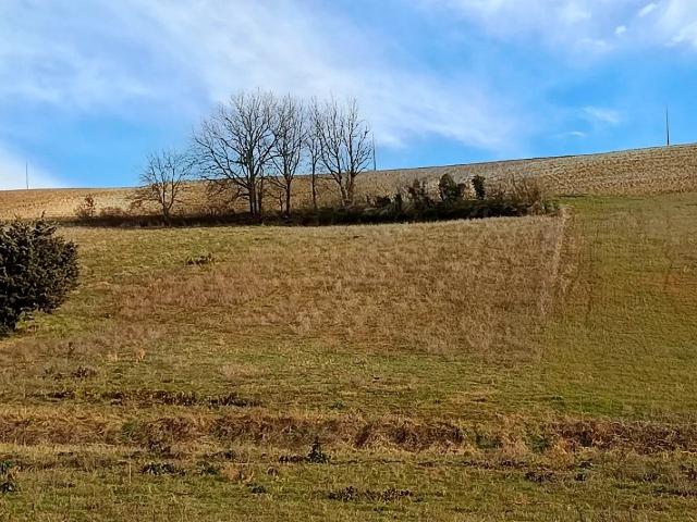 Terrain vente à Castres, Graulhet