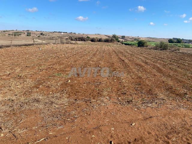 Propriété vente à El Ma, Gharb-Chrarda-Beni Hssen