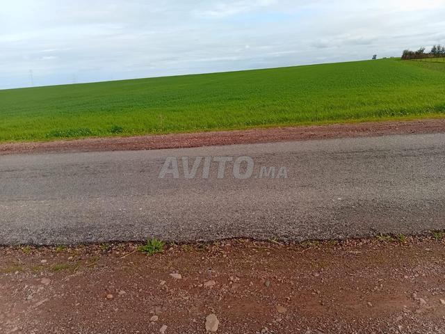 Propriété vente à Settat, Gharb-Chrarda-Beni Hssen