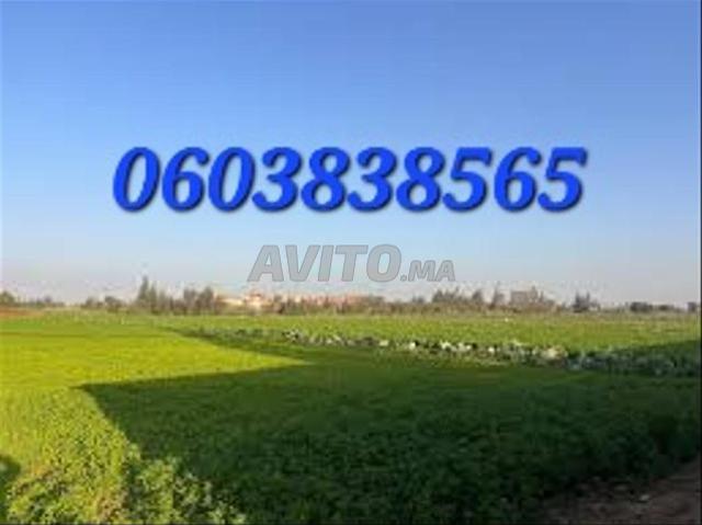Propriété vente à Settat, Gharb-Chrarda-Beni Hssen