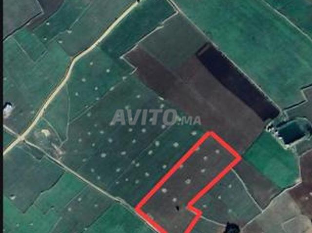 Propriété vente à El Ma, Gharb-Chrarda-Beni Hssen