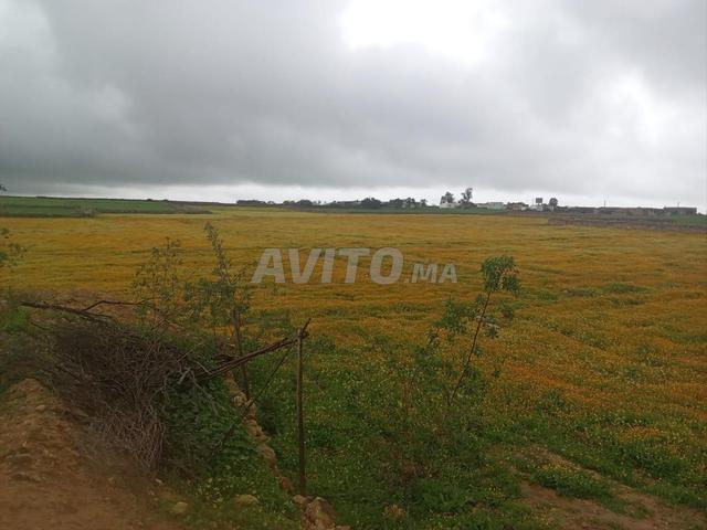 Propriété location à El Ma, Gharb-Chrarda-Beni Hssen