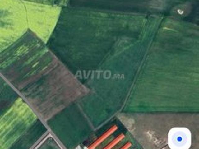 Propriété location à Settat, Gharb-Chrarda-Beni Hssen