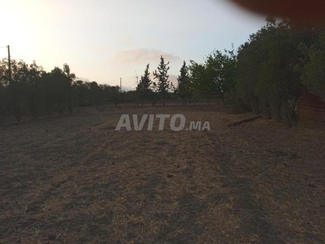 Propriété location à Gharb-Chrarda-Beni Hssen