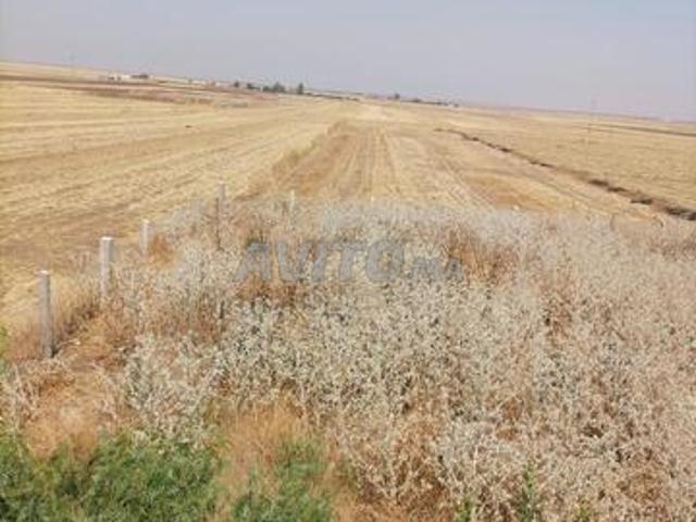 Propriété vente à Settat, Gharb-Chrarda-Beni Hssen