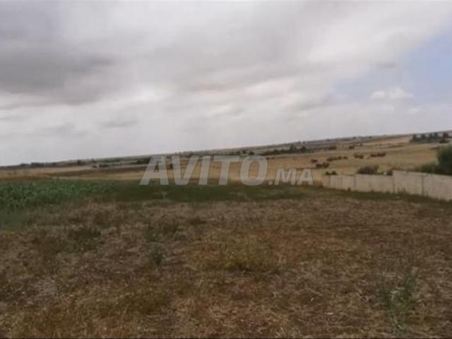 Propriété vente à Berrechid, Gharb-Chrarda-Beni Hssen