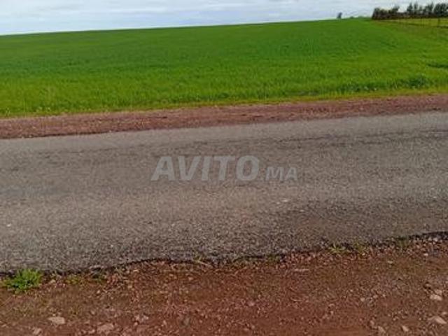 Propriété vente à Berrechid, Gharb-Chrarda-Beni Hssen