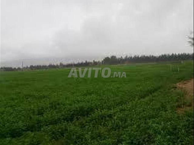 Propriété vente à Berrechid, Gharb-Chrarda-Beni Hssen