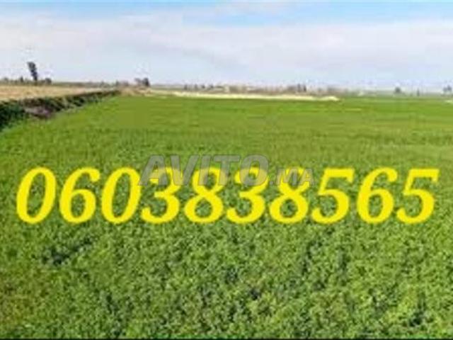 Propriété vente à Berrechid, Gharb-Chrarda-Beni Hssen