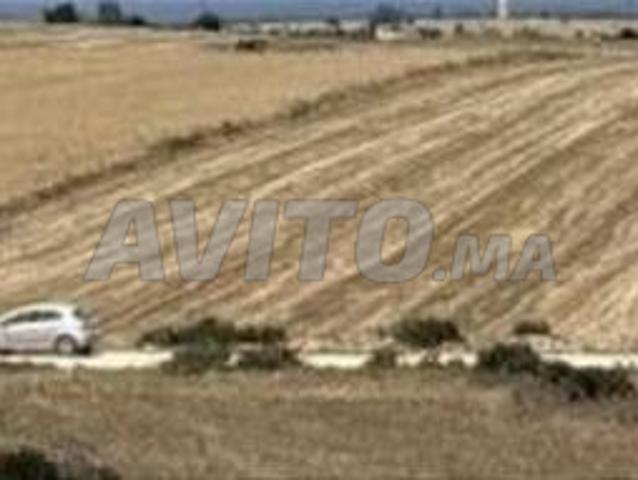 Propriété vente à Settat, Gharb-Chrarda-Beni Hssen