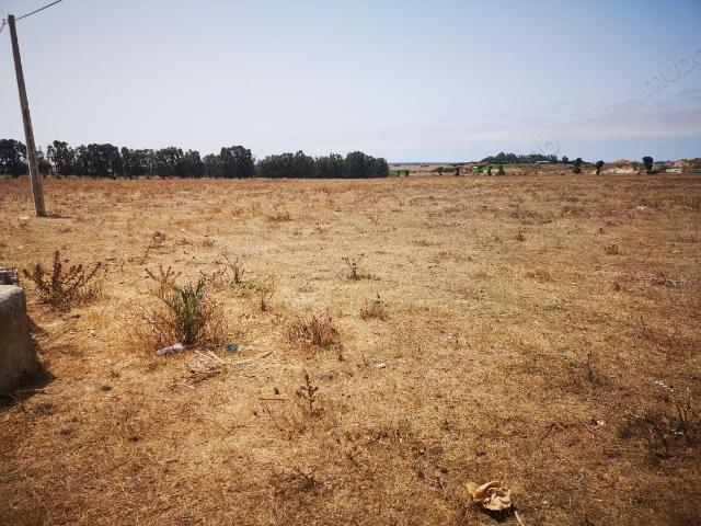 Terrain vente à El Ma, Gharb-Chrarda-Beni Hssen