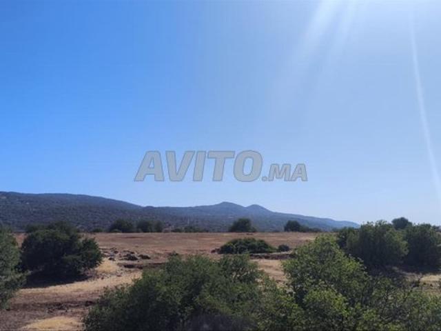 Propriété vente à Ksiba