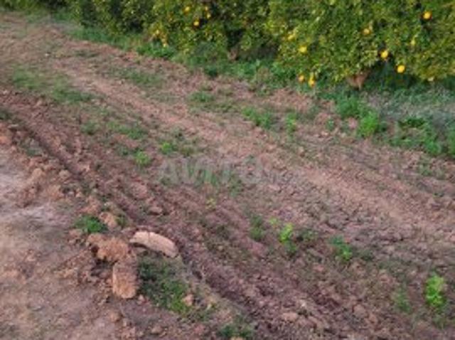 Propriété vente à Mellal