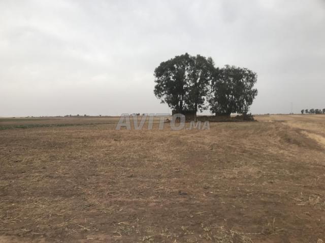 Propriété vente à Had Soualem, Gharb-Chrarda-Beni Hssen