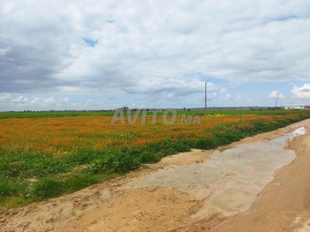Propriété vente à El Ma, Gharb-Chrarda-Beni Hssen