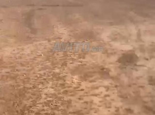 Propriété vente à Ben Guerir, L'Oriental