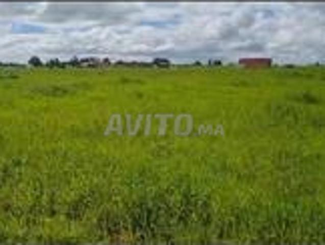 Propriété vente à Oulad Abbou, Gharb-Chrarda-Beni Hssen