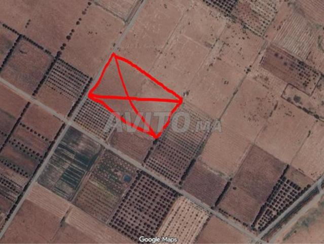 Propriété vente à Mellal