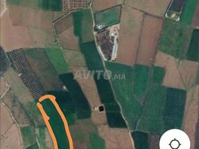 Propriété vente à Mellal