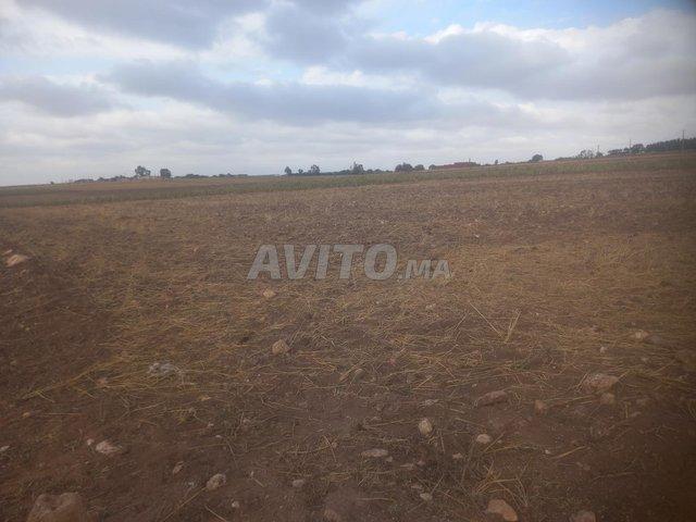 Propriété vente à El Ma, Gharb-Chrarda-Beni Hssen