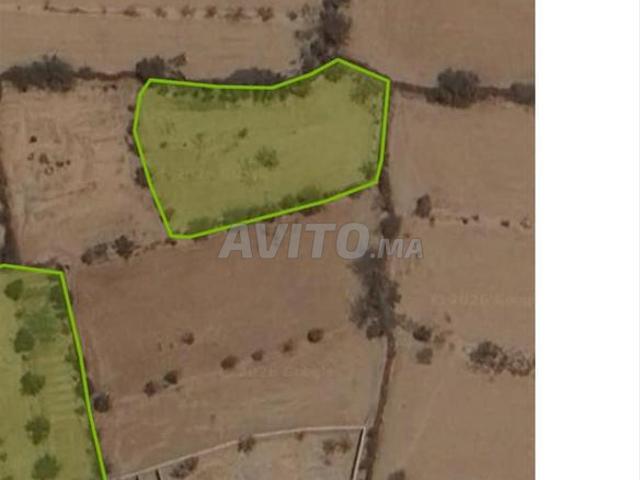 Propriété vente à Taroudant, Oued ed Dahab-Lagouira