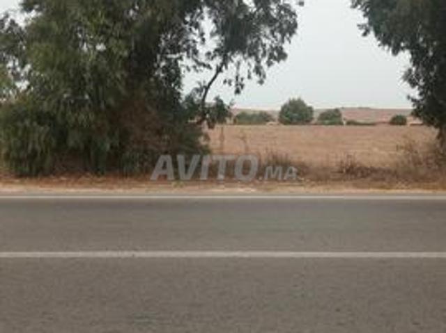 Propriété vente à pachalik d'El Jadida ⵍⵊⴰⴷⵉⴷⴰ الجديدة, Province d'El Jadida إقليم الجديدة