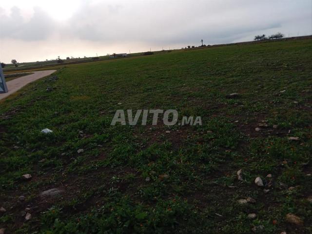 Propriété vente à El Ma, Gharb-Chrarda-Beni Hssen
